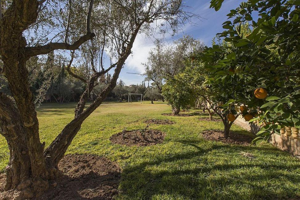 Villa Zahra Marrakesh Esterno foto